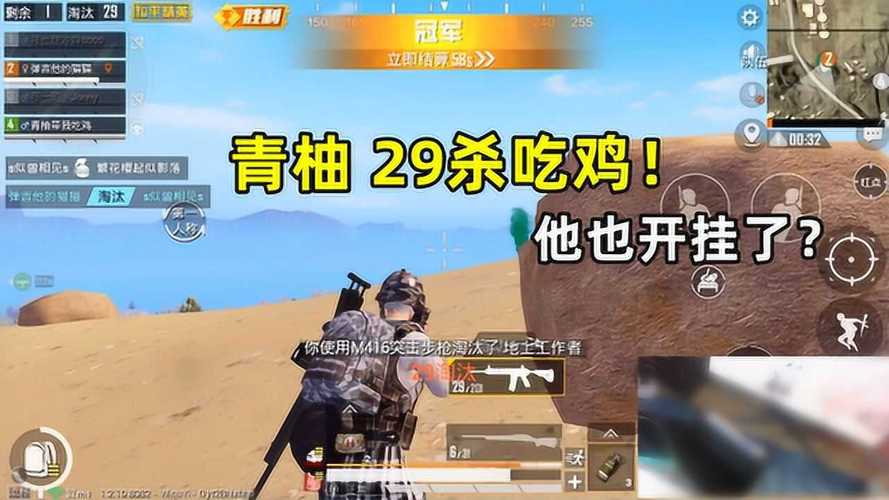 和平精英「路易威登」外挂